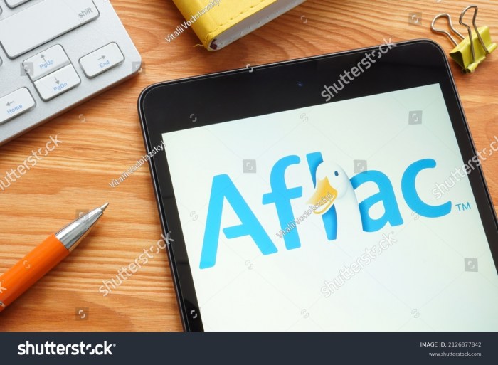Aflac insurance agent